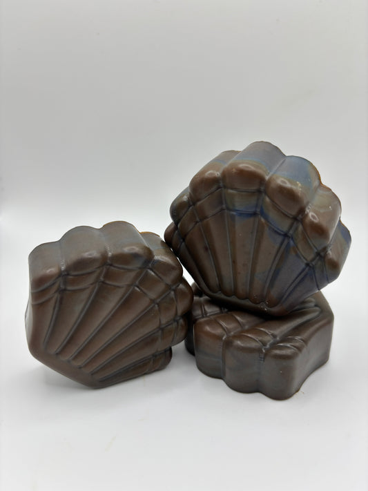 Beach Bum Bum - Shells