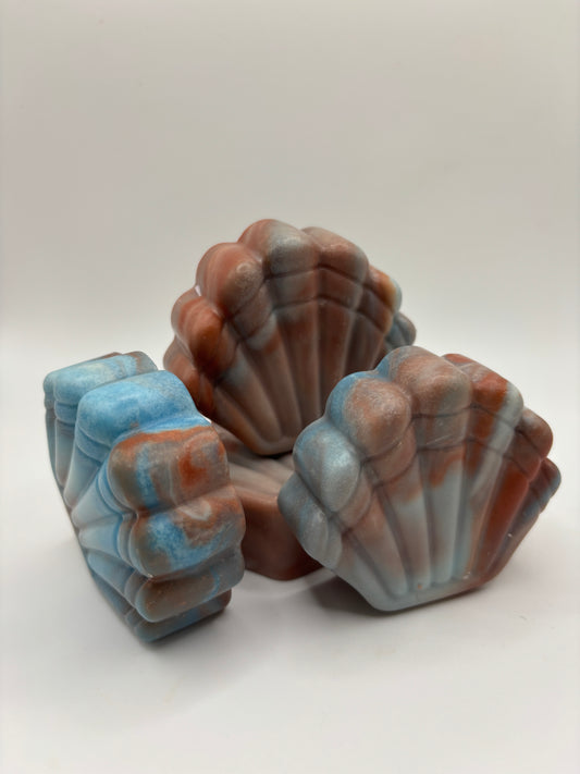Bare Shell - Shells